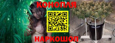 молекула духа Донецк