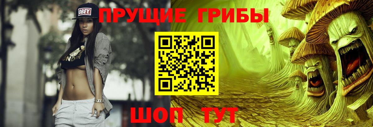 Галлюциногенные грибы MAGIC MUSHROOMS Качканар