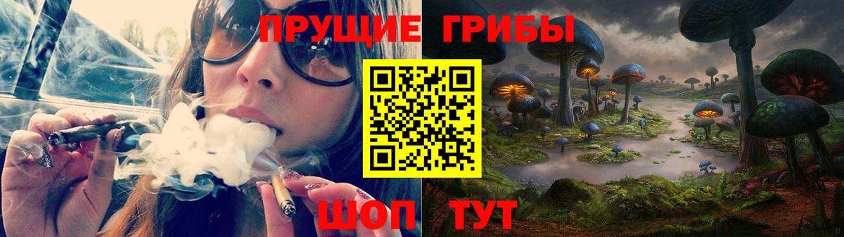 Галлюциногенные грибы Magic Shrooms  Вход с VPN  наркотики  Качканар  Галлюциногенные грибы мицелий 